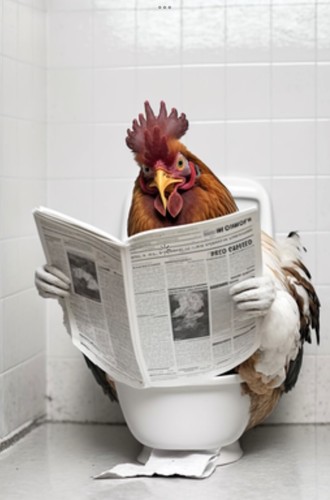 Chicken toilet metal sign - chicken,