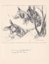 1936 SMOOTH FOX TERRIER Print