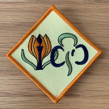 Girlguiding Croydon Centenary