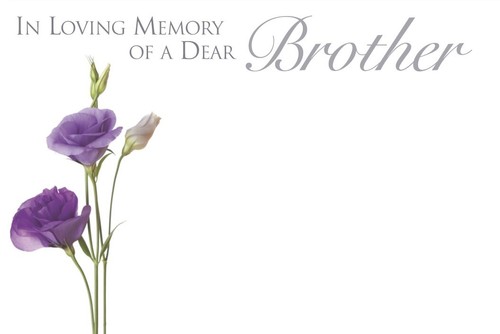 Shredastic brother in - brother,