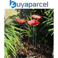 8 x Kingfisher Natures Market