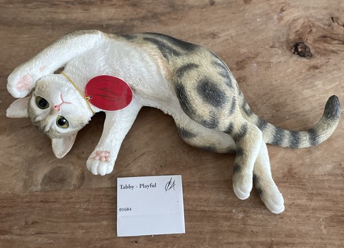 Country artists tabby playful - tabby,