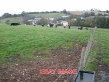 PHOTO  GRAZING LAND ABOVE