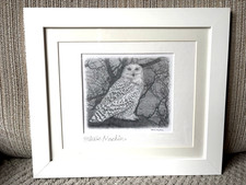 Steve Machin Pencil Art Framed Print Snowy Owl In A Haunted Wood At Midnight
