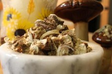 Poke Root - Whole Dried Root