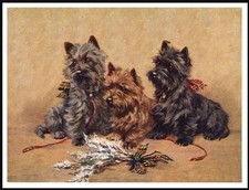 CAIRN TERRIER DOG ART PRINT