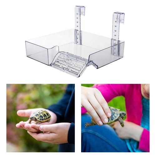 Tortoise tank platform acrylic - platform,