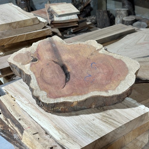 Yew cookie round board - board, table