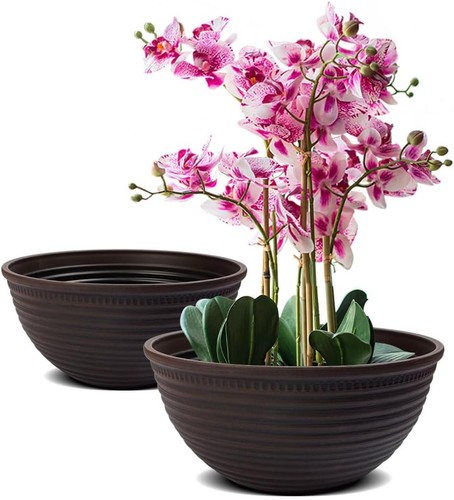 Pack inch plant - 2, 10