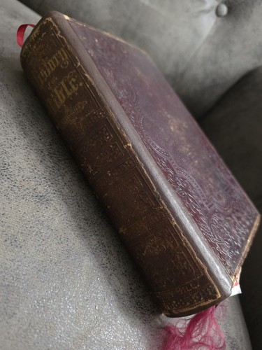 1868 illustrated history holy - 1868,