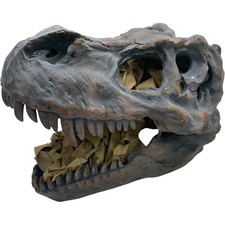 Big Dinosaur T-Rex Resin Skull