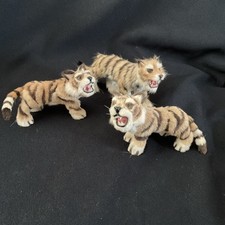 Tiger Family, Fur, Nose And Teeth ~ Glass Eyes ~ Realistic ~ Unusual Tigers