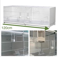 120cm finch canary budgie - finch,