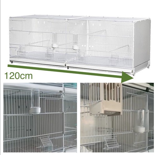 120cm finch canary - 120cm,