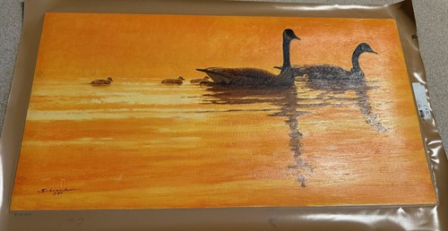 Authentic artagraph oil - artagraph,