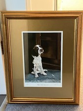 Springer Spaniel ltd Ed framed