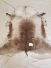 Reindeer Skin Rug Premium XL