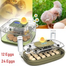 12-24 Eggs Fully Automatic
