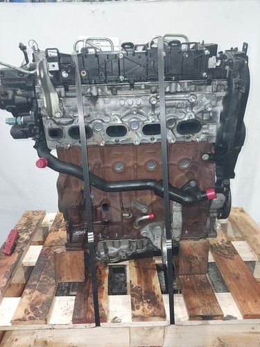 Engine ford kuga mk2 - ford, (c520)