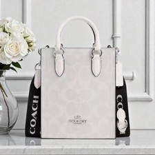 Coach North South Mini Tote