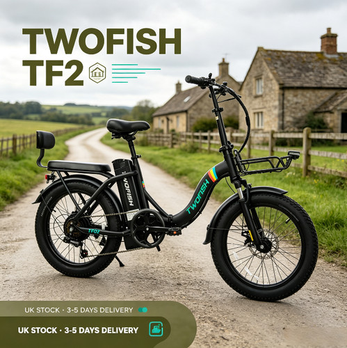 Fat tyre ebike - tyre,