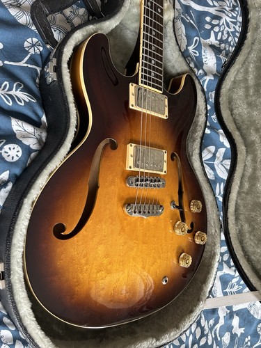 Aria pro electric - ii,