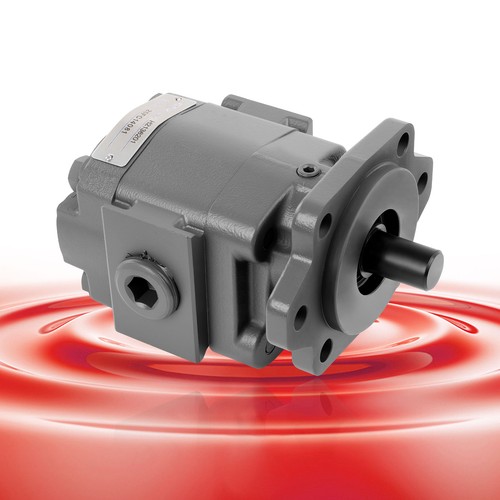 H2136201 hydraulic pump - pump, 3000