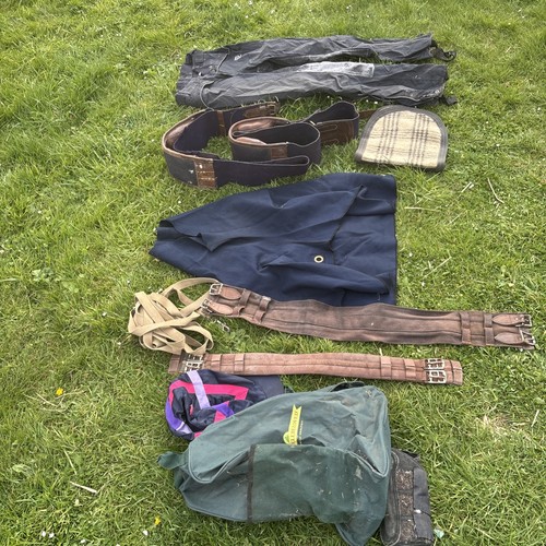 Tack room clear out job - clear, lot