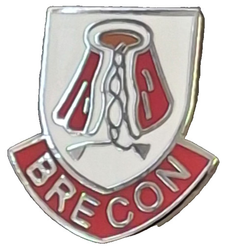 Brecon town small pin - brecon,