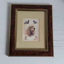 Vintage Cocker Spaniel Art