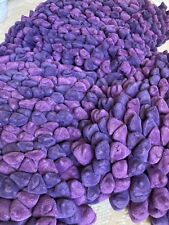 Gorgeous Purple Dreamweavers Pebble Cushion for a Stylish Home -Great Condition!