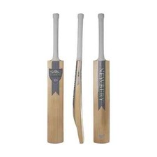 2024 Newbery Cricket Velo GT 5