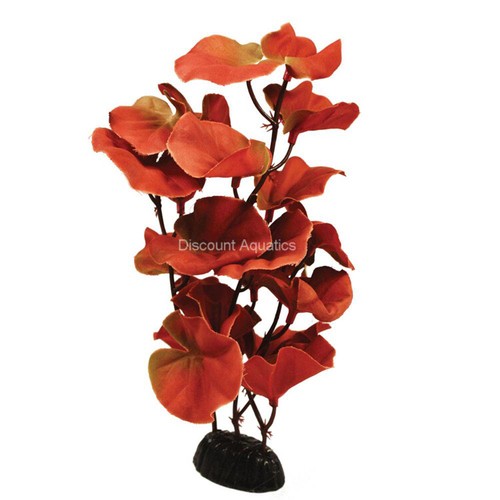 Cardamine red silk - red,