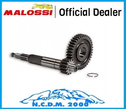 Malossi primary gears - primary, z