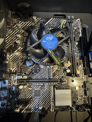 Intel 10400f cpu with - cpu, asus