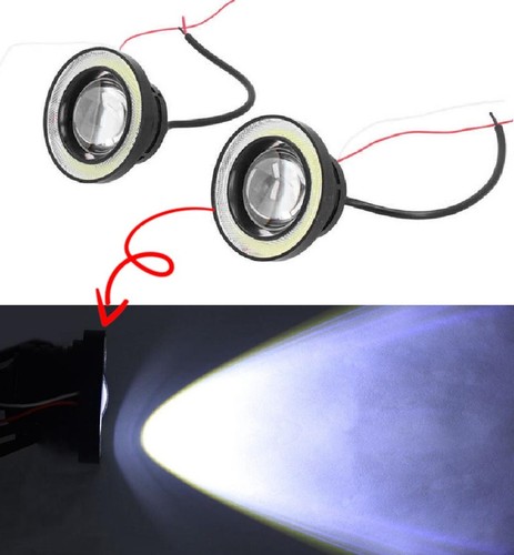 12v fog front - x,