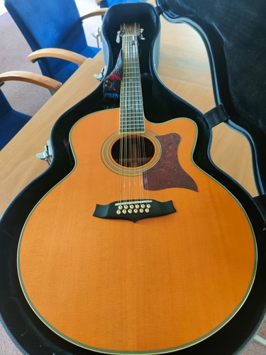 Tanglewood tw55 12 - tanglewood,