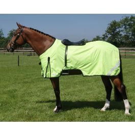 Qhp viz reflective exercise - viz,