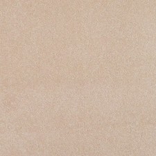 £4 PER M2 VICTORIA Freedom Xtra Canvas 4m x 3m CARPET CHEAP