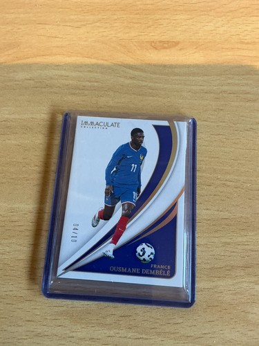 Panini immaculate 2024 - immaculate, 2024/25