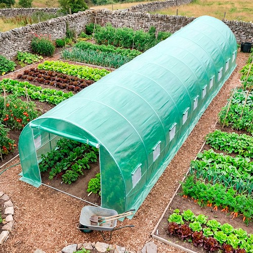 Polytunnel greenhouse poly - greenhouse,