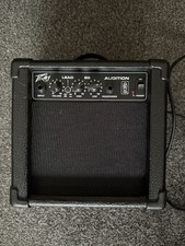 Peavey Audition Guitar