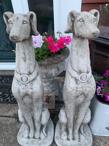 Pair large greyhound - large,