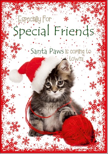 Doodlecards special friends - special,