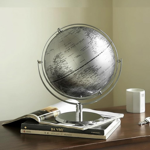 Silver world globe - silver,