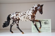 Breyer Danash’s Northern