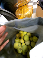 Used Tennis Balls for Indoor Courts - Mixed Brands