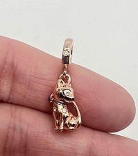 Sparkling Cat / Kitten Rose