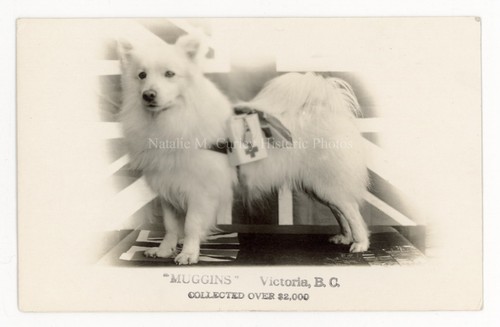 1910s muggins wwi - 1910s, red