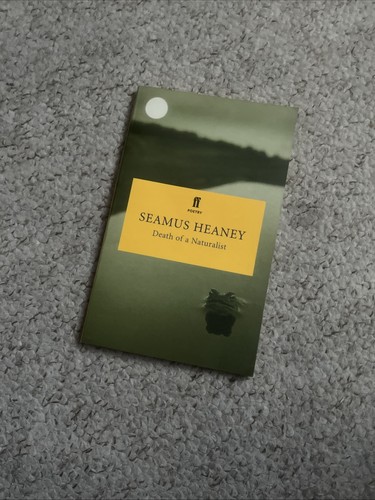 Seamus heaney death a - heaney,
